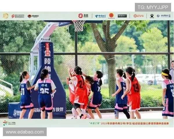 成都篮球队选拔赛特别报道：从艰辛起步到辉煌突破的奋进之路